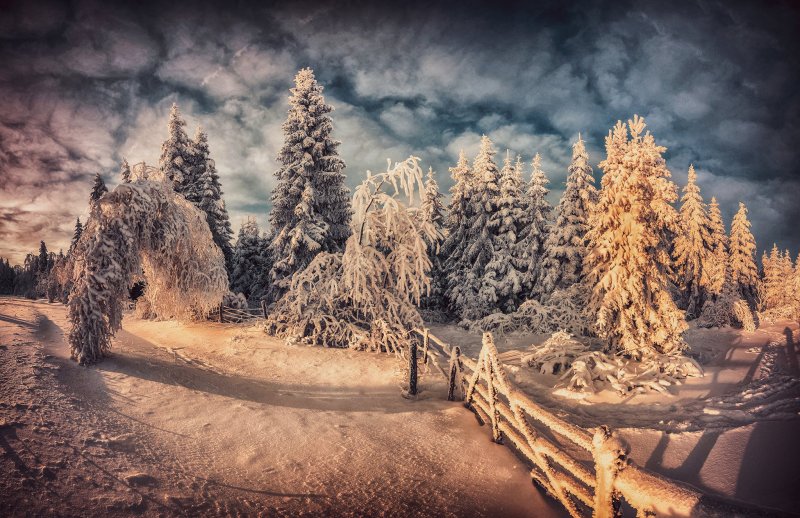 Великолепные зимние пейзажи
