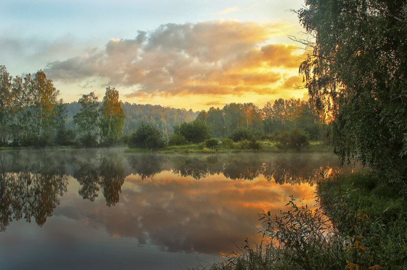 Лесная речка Ленинградской области
