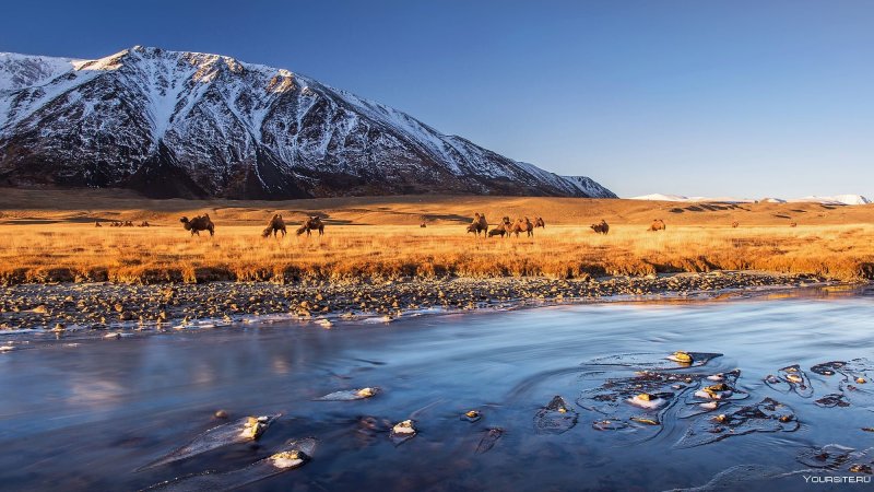 Монголия природа