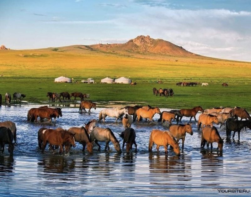 Природа Монголии Улан Батор
