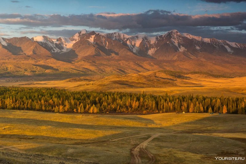Золотые горы Алтая Алтайские горы