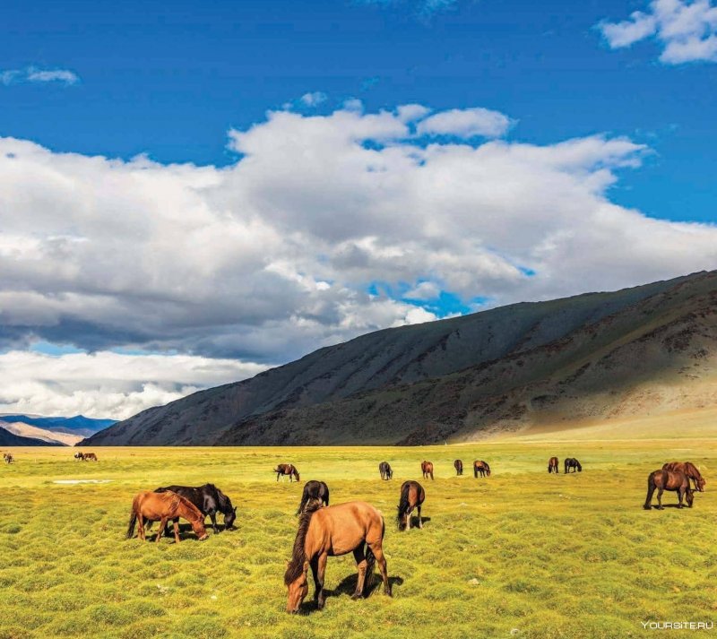 Ховда Монголия природа