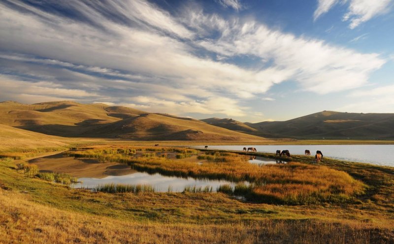 Юрты кочевников Монголии