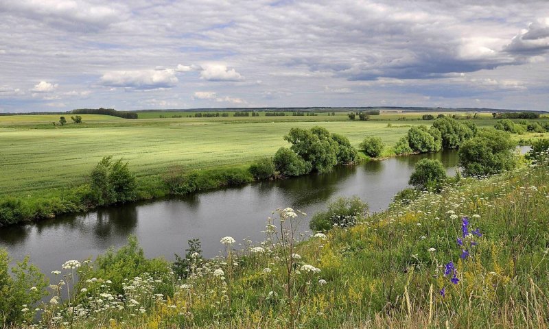 Река Турица Рузский район
