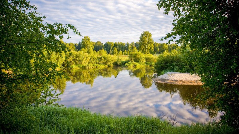 Озеро деревня лес Новосибирск