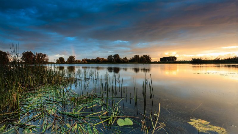Озеро Плавни Васюринская