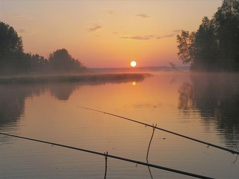 Утренняя рыбалка