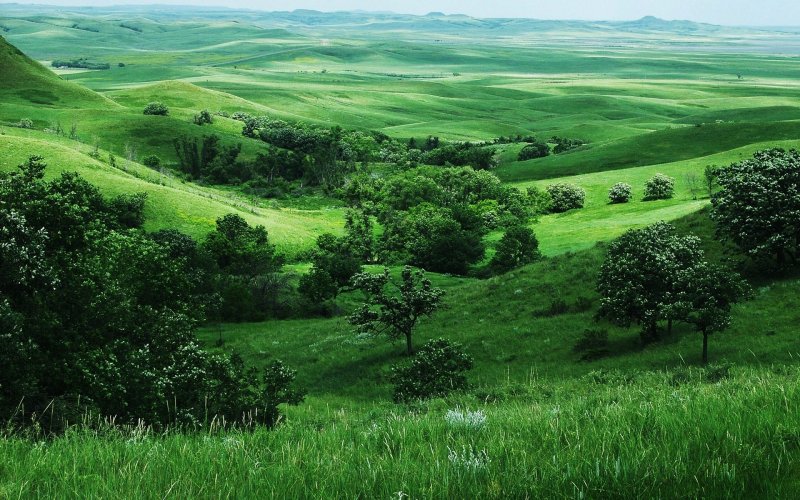 Зеленые холмы Краснодарский край