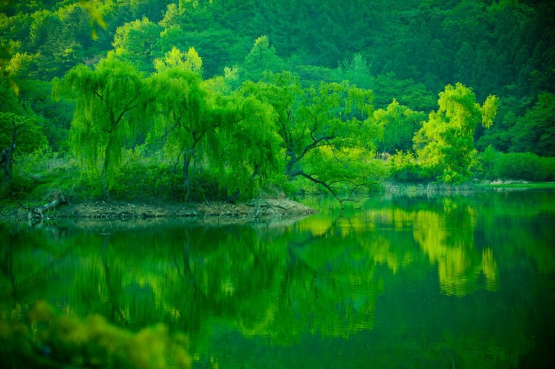 Зеленый пейзаж