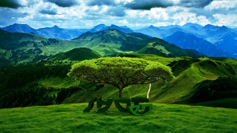 Пейзаж зелень
