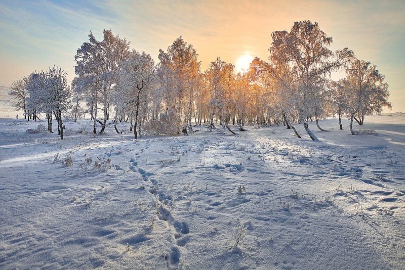 Степи Оренбургской области зима