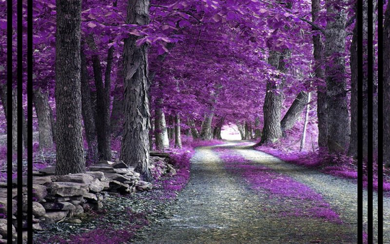 Пейзаж с фиолетовыми оттенками