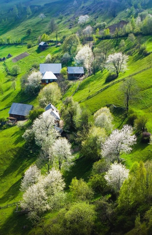 Молдова природа