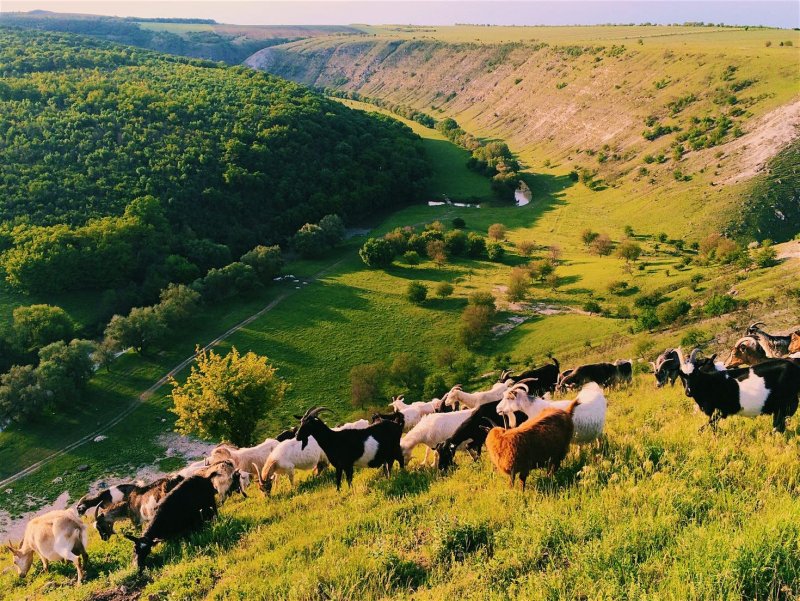 Республика Молдова природа