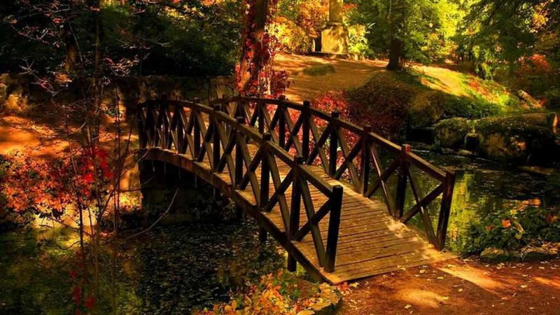 Красивый мостик в парке