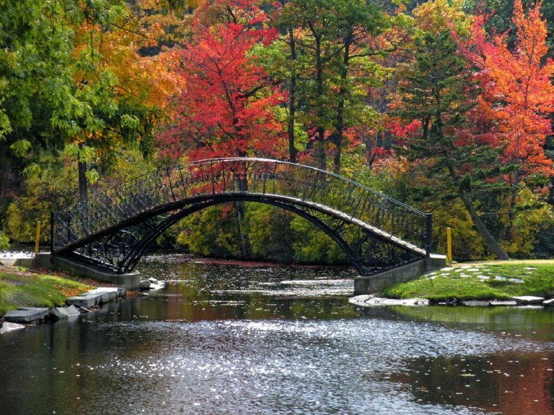 Осень парк река мост