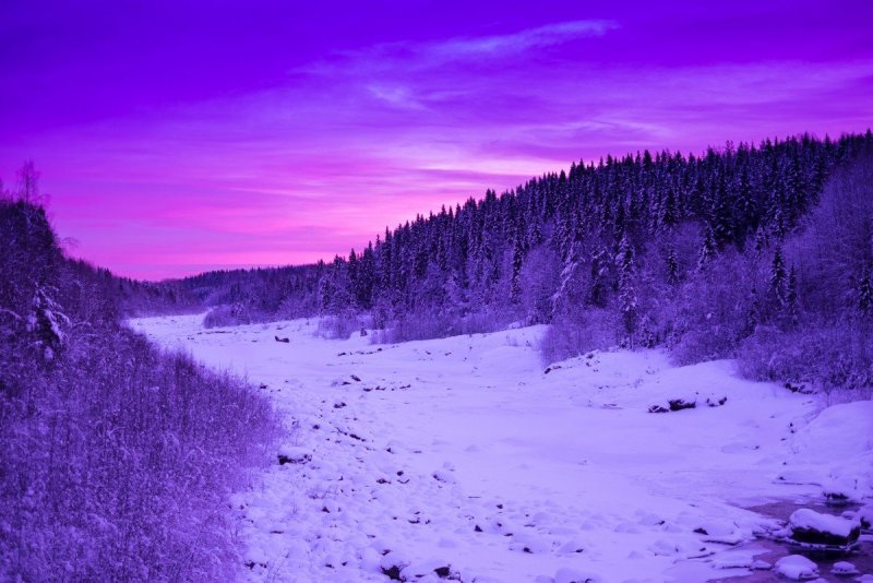 Фиолетовая зима