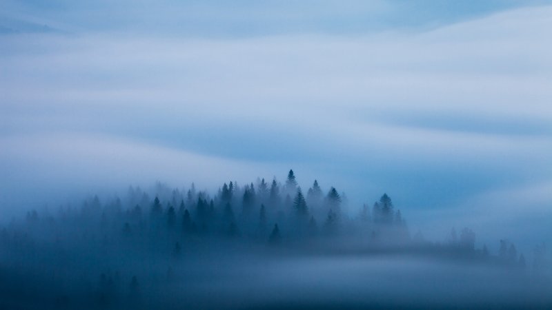 Синий туман