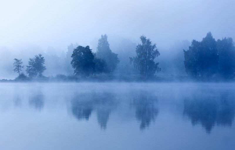Голубой туман