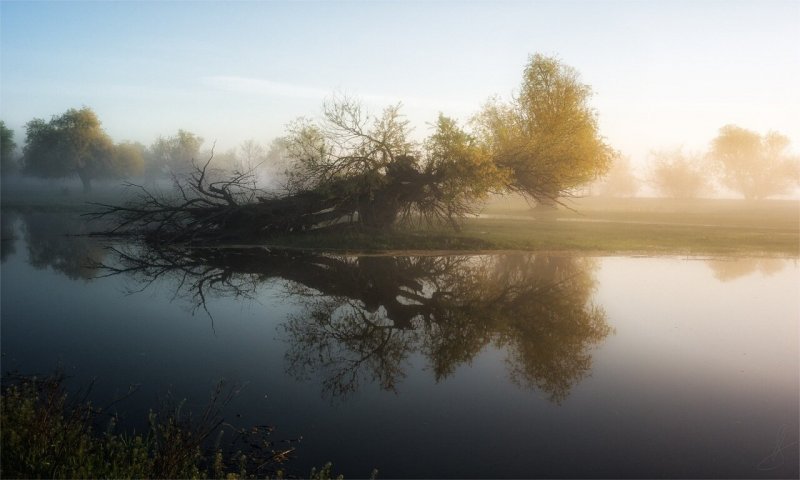 Природа Астрахань утро