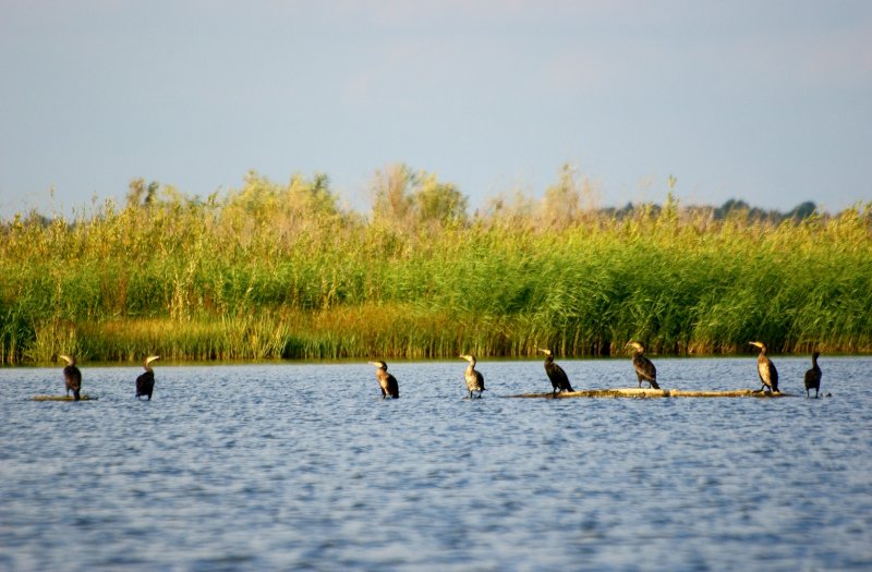 Астрахань Волга природа