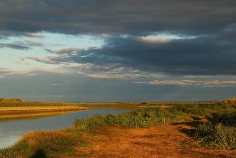 Астраханская область природа Волга