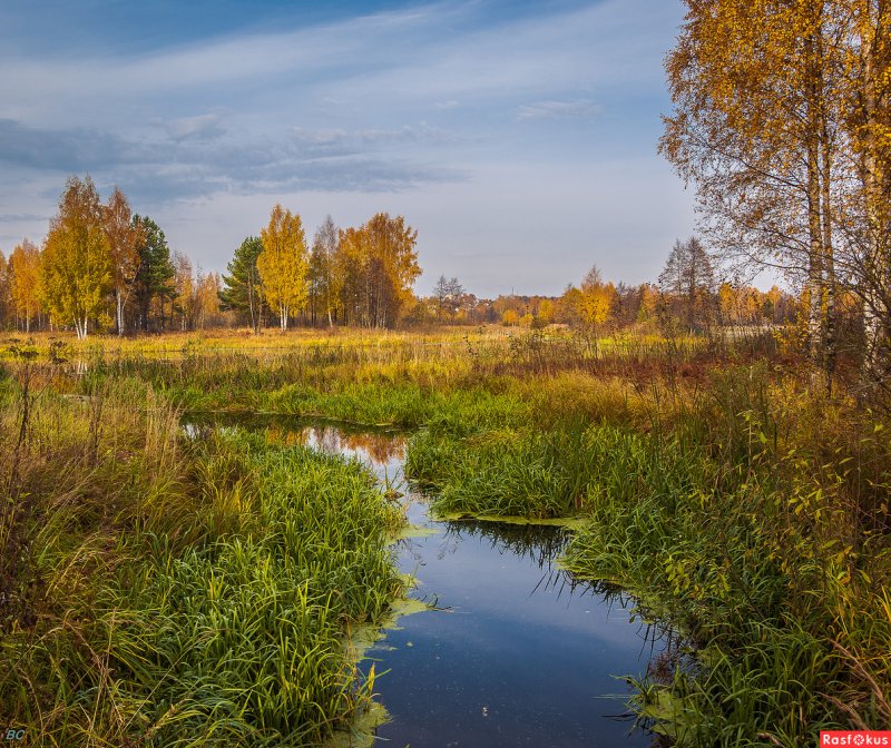 Природа Костромской области