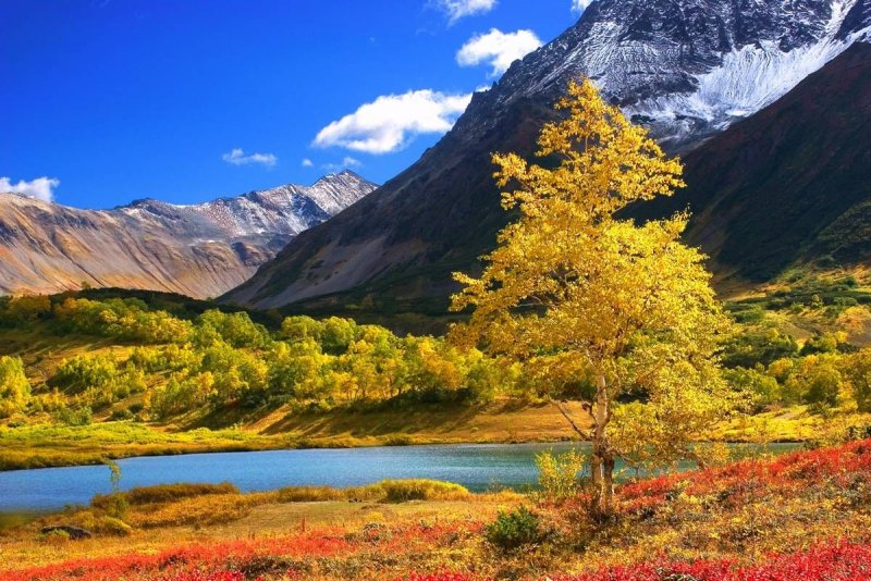 Осень в горах на Камчатке