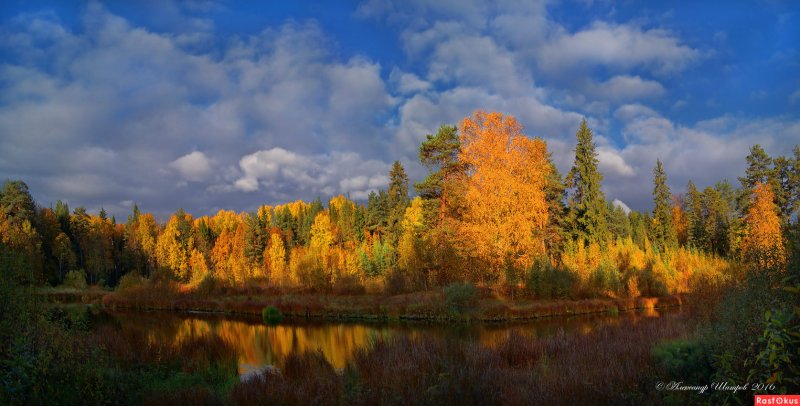 Озеро Костромская область осенью