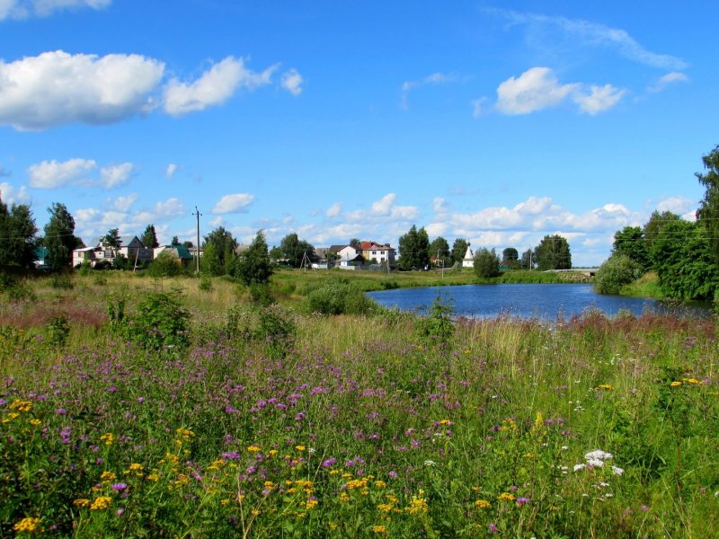 Костромская область деревня летом