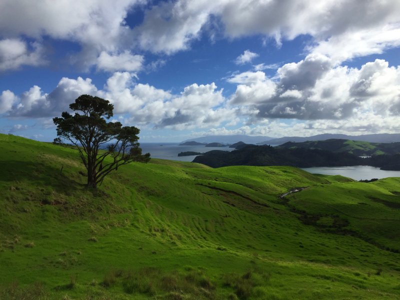 Новая Зеландия зеленые холмы