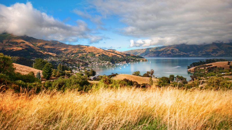 Новая Зеландия панорама холмы