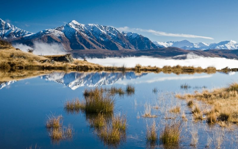 Веллингтон новая Зеландия природа