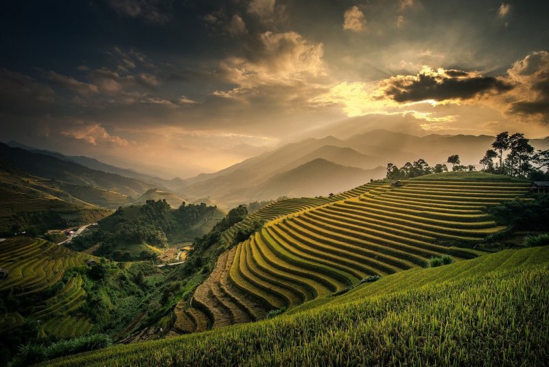 Бали Индонезия рисовые поля