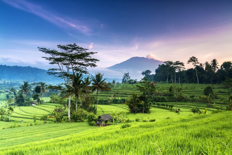 Индонезия панорама