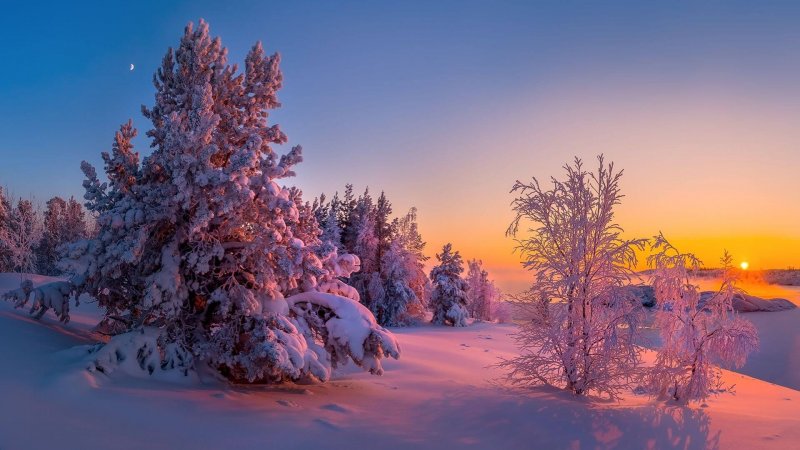 Зимняя сказка природа