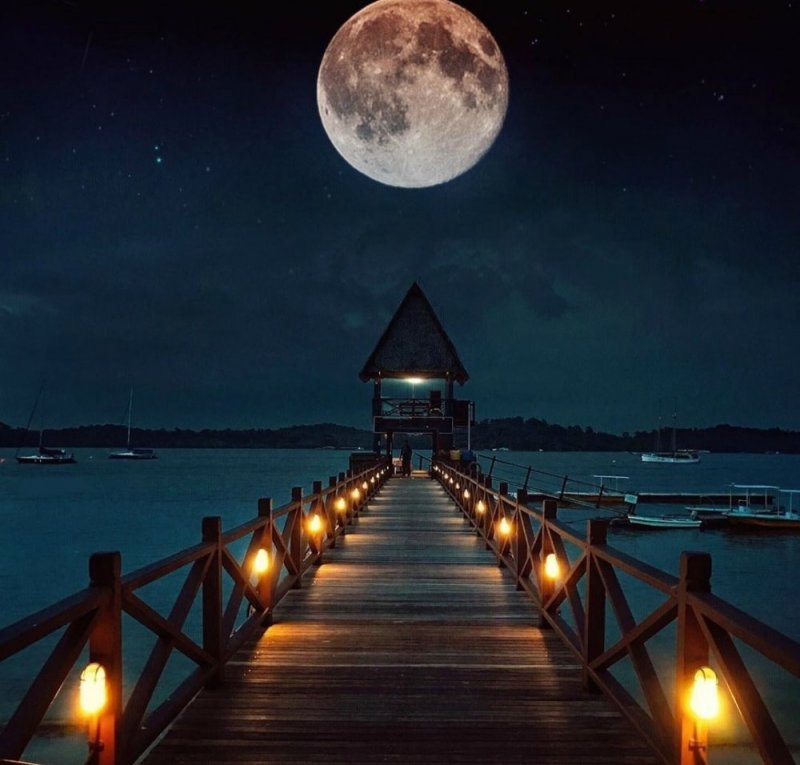 Озеро в лунном свете
