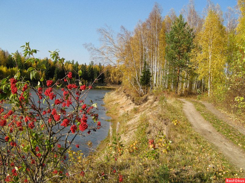 Осень Ханты-Мансийский автономный округ — Югра