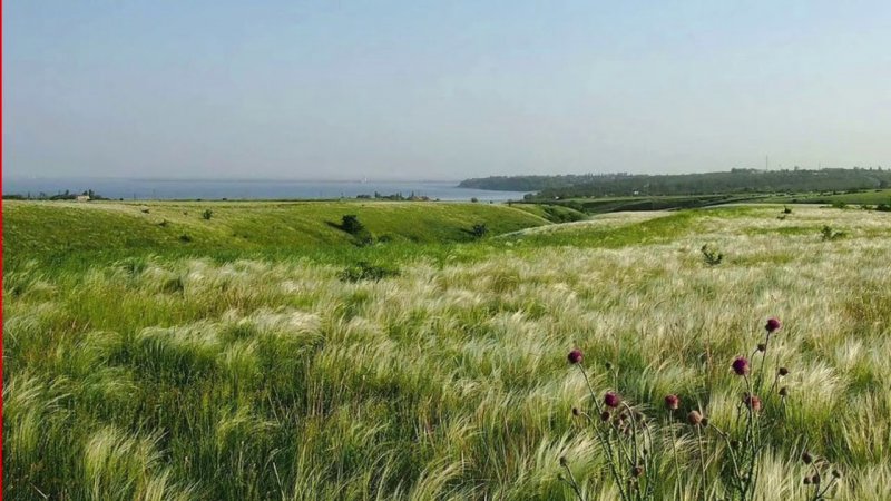 Природа Донского края Волгодонск