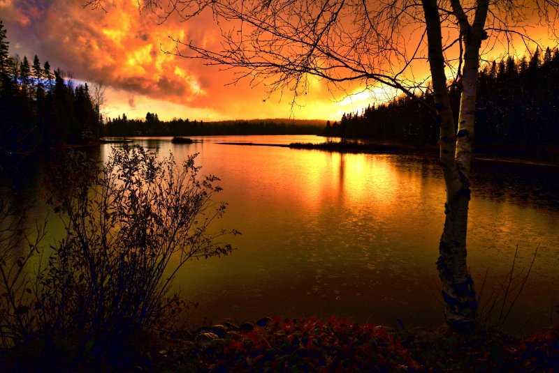 Закат над лесным озером