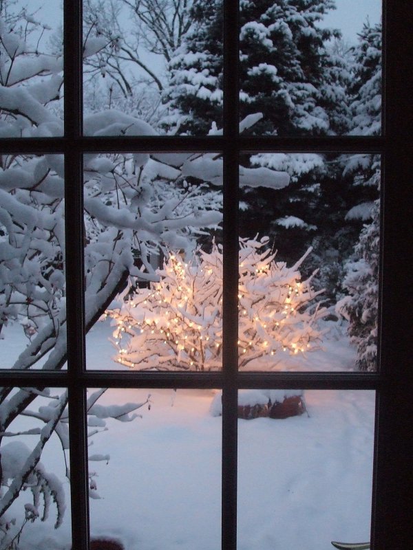 Вид из окна зимой