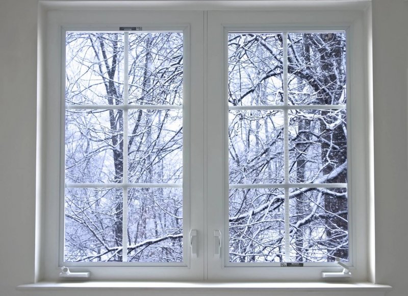 Окно в зимний лес