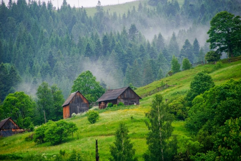 Закарпатье горы Украина