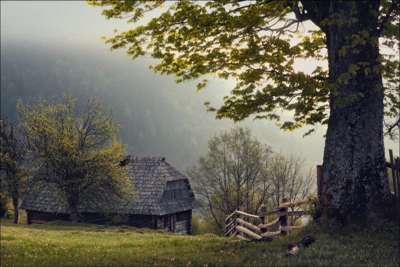 Украина природа хутора