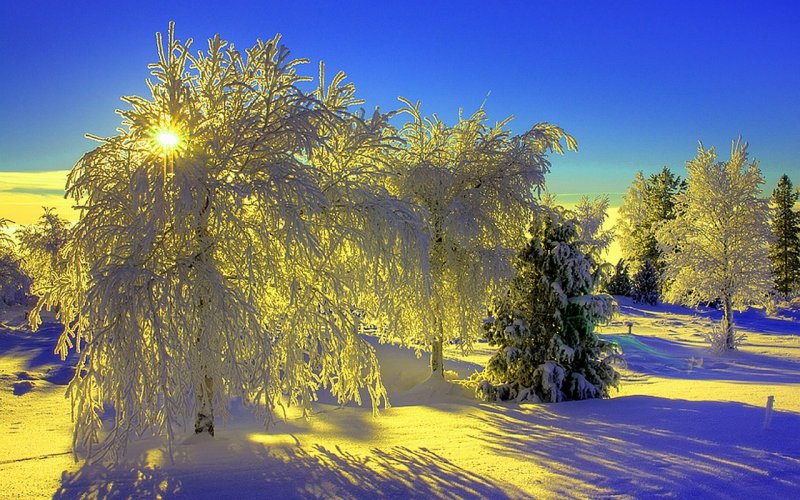 Фотограф Эдуард Гордеев зима
