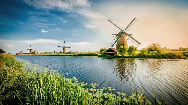 Ветряные мельницы в Роттердаме
