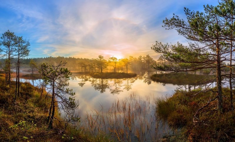 Пейзажи озер и рек Ленинградской области