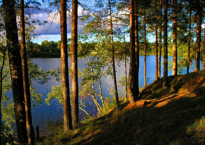 Озеро светлое Ленинградская область Будогощь