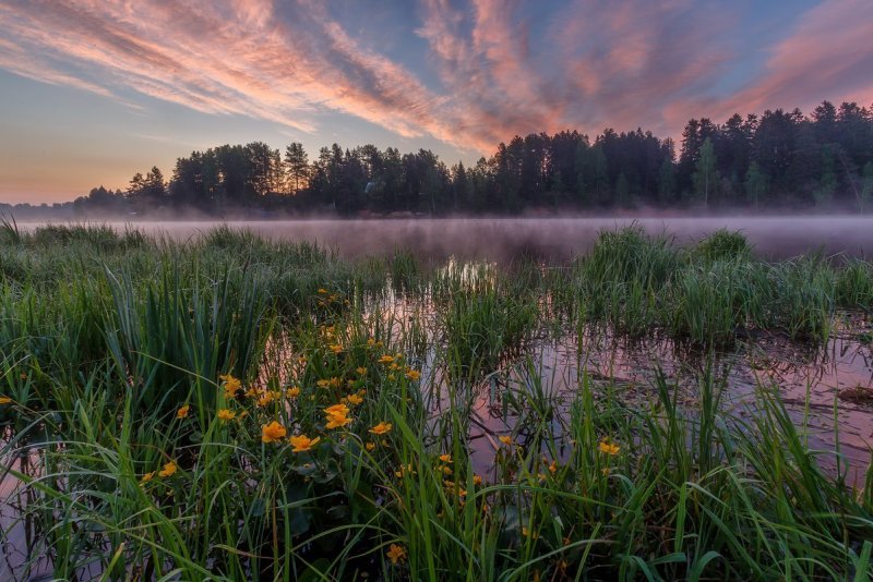 Природа Ленинградской области