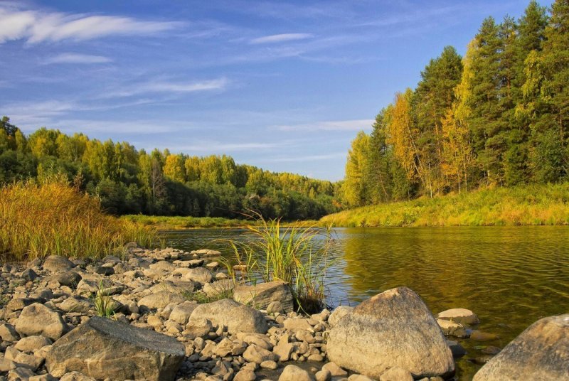 Река Юг Вологодская область